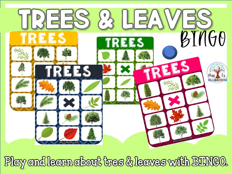 Trees &amp; leaves BINGO game | Teaching Resources