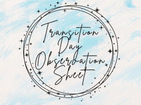 Transition Day - Observation Sheet (EYFS)