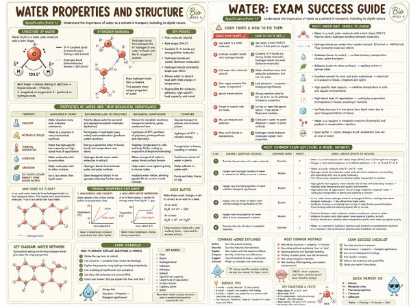 1.1 edexcel pearson A level biology water