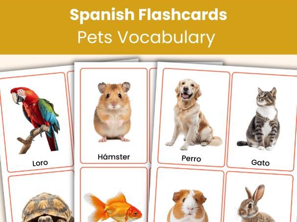 Spanish Pets Flashcards | Real Photo Vocabulary Cards | Printable Learning Resource