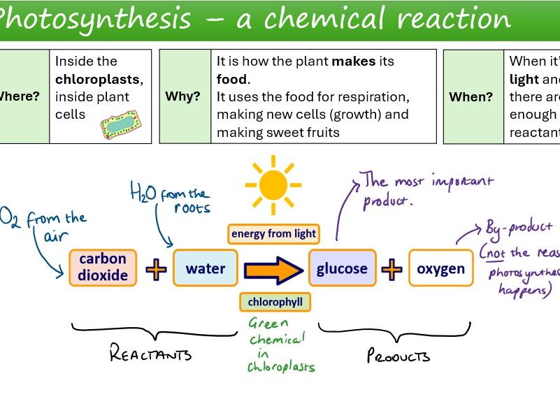 Word mat / visual desk sheet