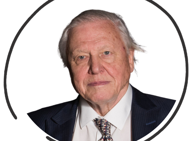 David Attenborough - Curiosity and our world