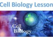lesson_AQA GCSE_culturing microbs