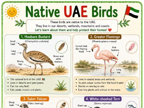 UAE birds