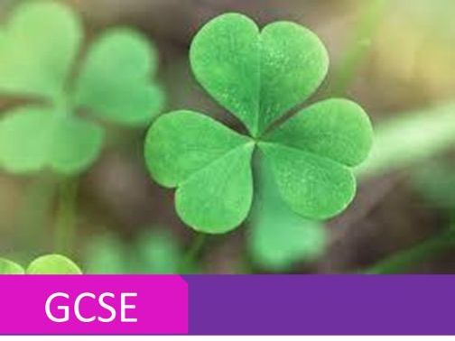 GCSE Christian Beliefs