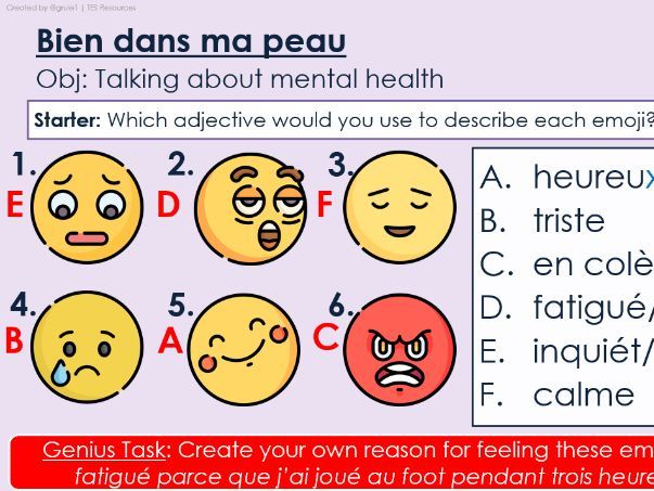 NEW 2026 GCSE French. Higher/ Rouge. Module 4. Unit 2. Bien dans ma peau