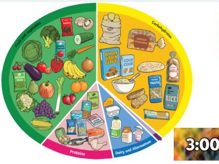 KS2 Science The Human Body Healthy Eating and Exercise