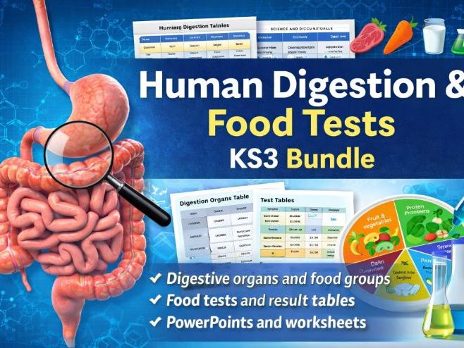 KS3 Digestion, Food Groups & Food Tests
