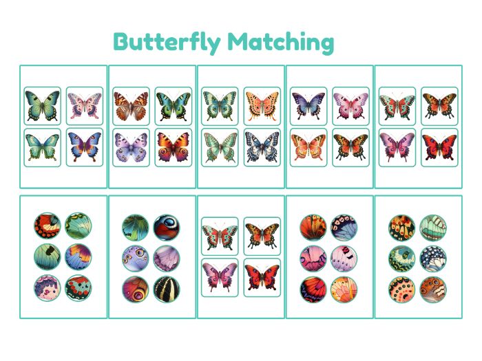 Butterfly Matching Game, EYFS Matching Activity, Visual Discrimination, Reception KS1