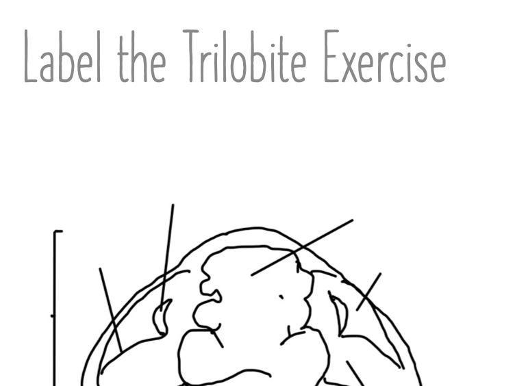 Label the Trilobite Diagram