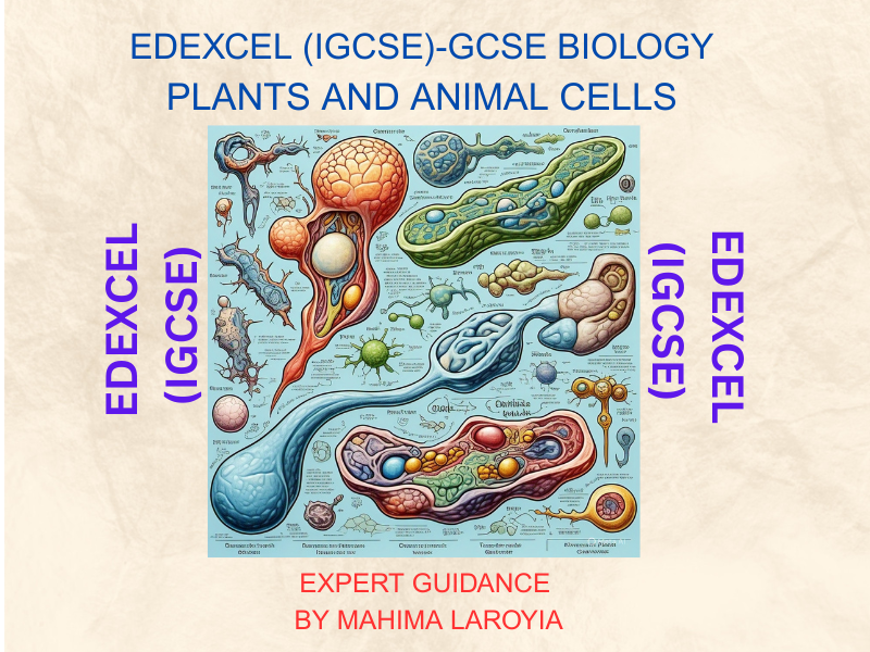 EDEXCEL (IGCSE)  - GCSE Biology: Plants and Animal Cells