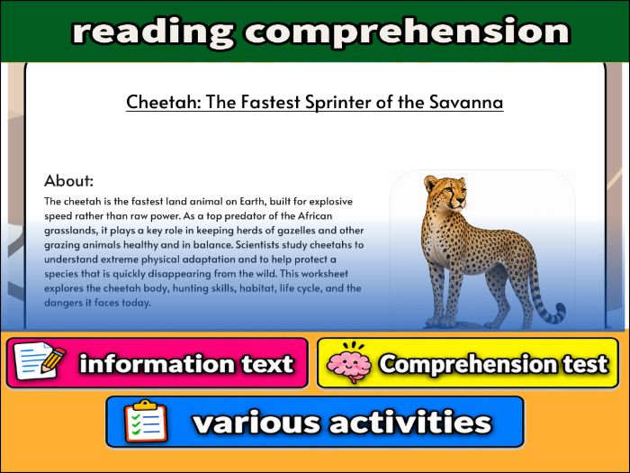 Cheetah: The Fastest Sprinter of the Savanna - zoology & Activities