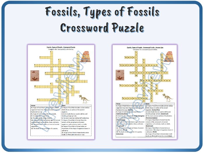 Fossils Types Of Fossils Crossword Puzzle Worksheet Activity 
