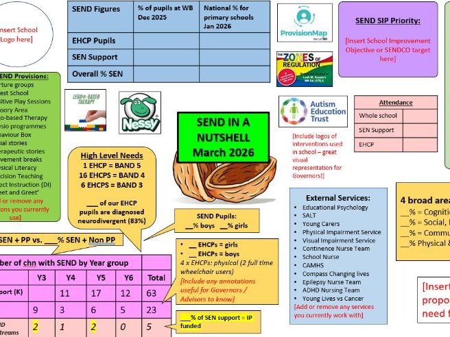 Editable SEND in a Nutshell 'One Page' Document