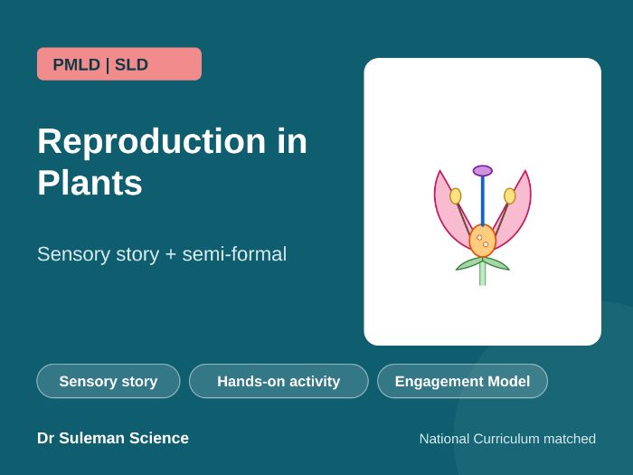 Reproduction in Plants Sensory Story PMLD SLD