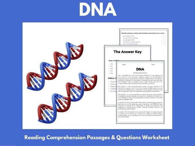 DNA: Reading Comprehension Passages & Questions Worksheets | Teaching ...