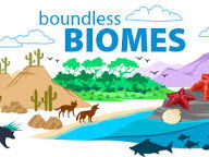 This is the Final Lesson about EcoSystems