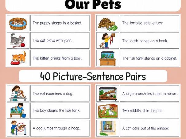 Our Pets | First Sentences | Grades 1-2