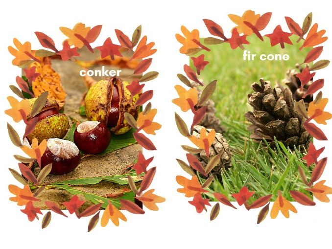 Autumn Photographs & Vocabulary Cards – 10 Autumn Objects – EYFS