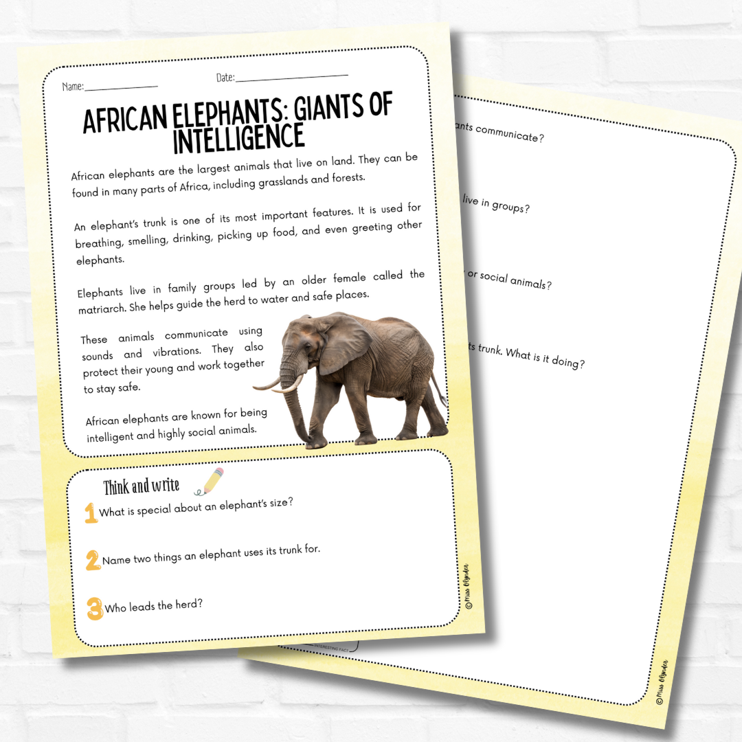 Differentiated African Animals Reading Comprehension | Nonfiction ...