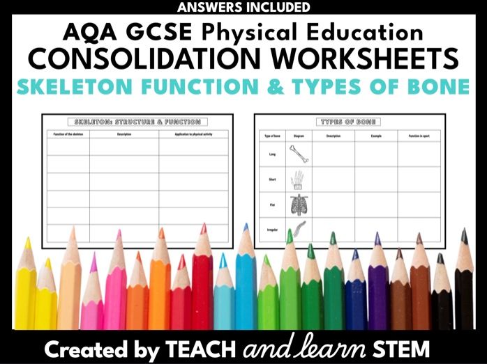 Skeleton Function and Types of Bone Summary Worksheets | AQA GCSE PE