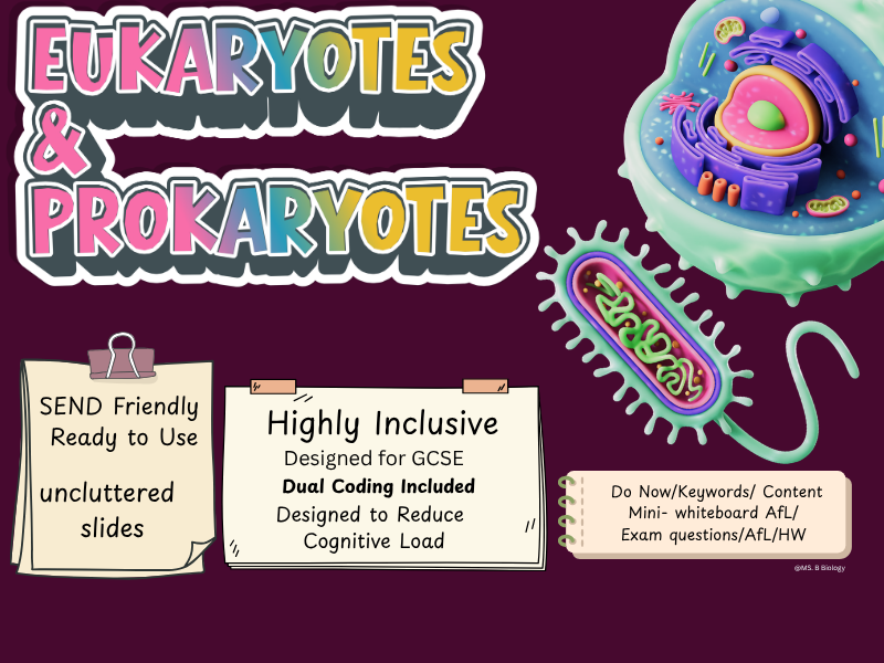 Prokaryotes vs Eukaryotes Lesson | GCSE Biology Cell Structure |Retrieval Practice, Dual Coding
