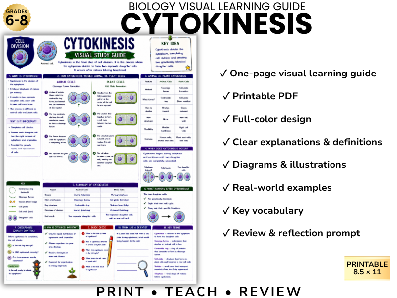 CYTOKINESIS | Biology Visual Learning Guide | Grade 8 & Middle School Science