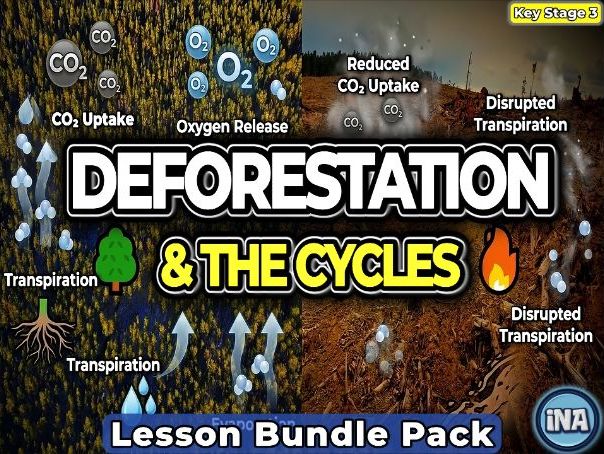Deforestation and the Carbon and Water Cycles - Complete KS3 Biology Lesson Pack