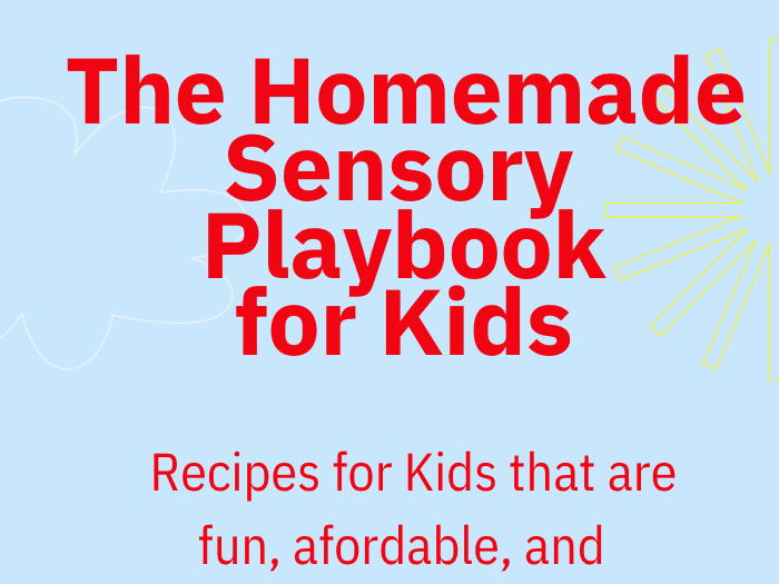 Homemade Sensory Playbook for Kids