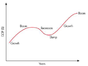 Cambridge iGCSE Business - 6.1 Economic issues