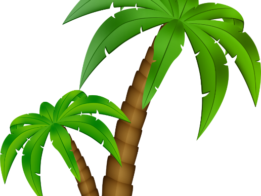 GCSE French - PALM model for photocards