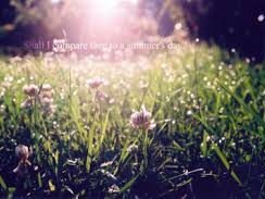 Sonnet 18  PT -  William Shakespeare