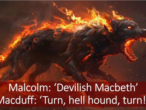 GCSE Literature vibrant displays