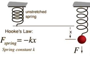 IGCSE Hooke's Law/Spring constant practical investigation - Forces and motion