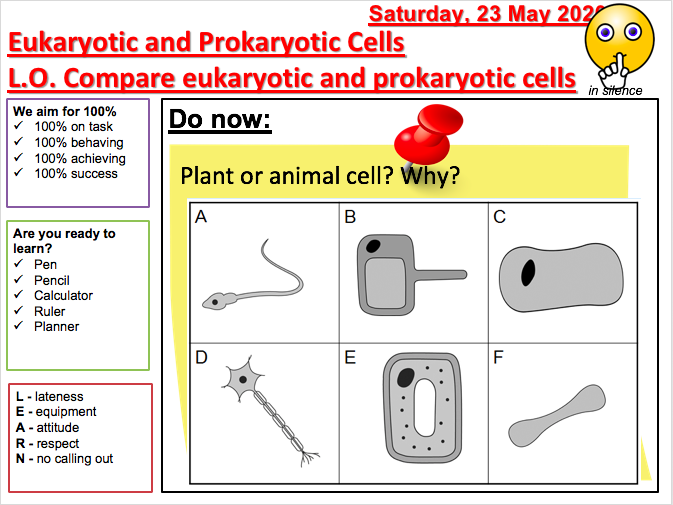 KS3 Biology - Cells | Teaching Resources