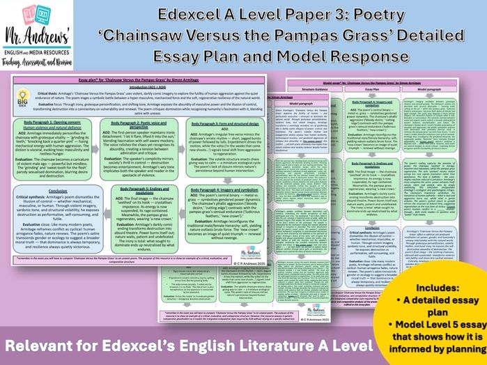 'Chainsaw Versus the Pampas Grass' A Level Essay Plan and Model Response