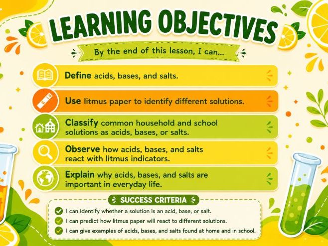 Acids, Bases and Salts Using Litmus Indicators | Complete Grade 7 Science Lesson