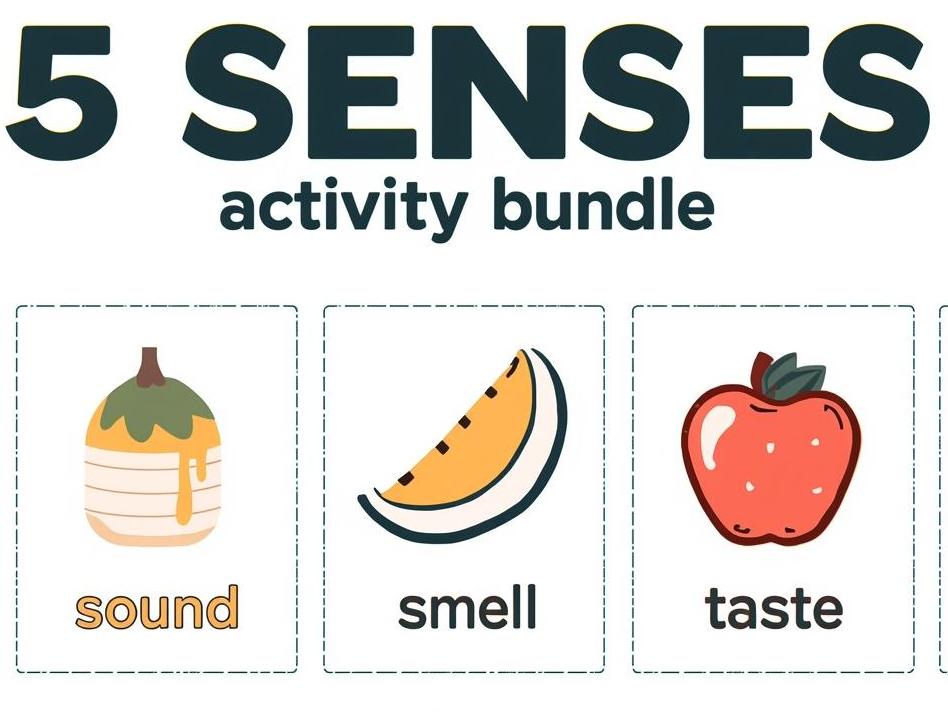 Senses Bundle