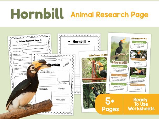 Hornbill Animal Research Page | Tropical Birds Science Worksheets