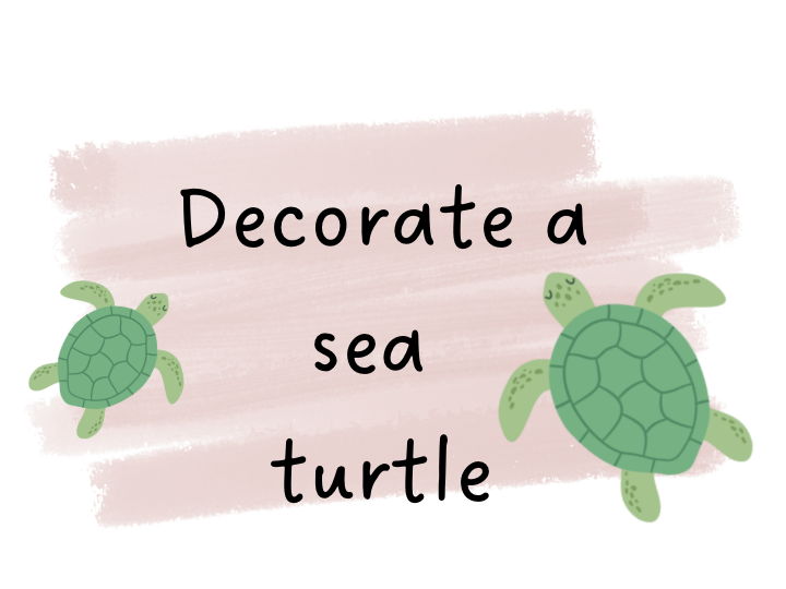 Decorate a sea turtle