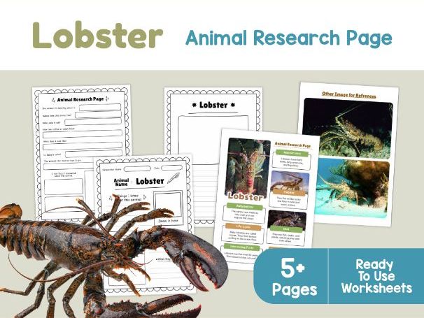 Lobster Animal Research Page | Crustacean Science Activities for Kids