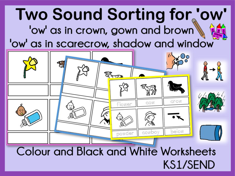 Two Sound Sorting for 'ow' KS1 and SEND