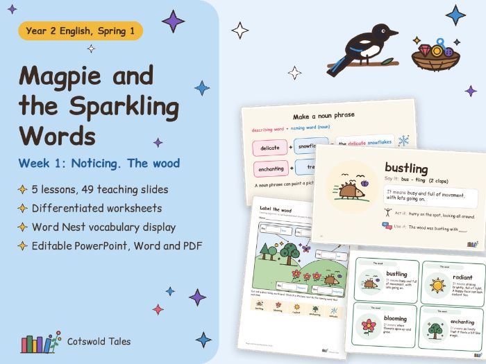 Magpie and the Sparkling Words Week 1 Resources
