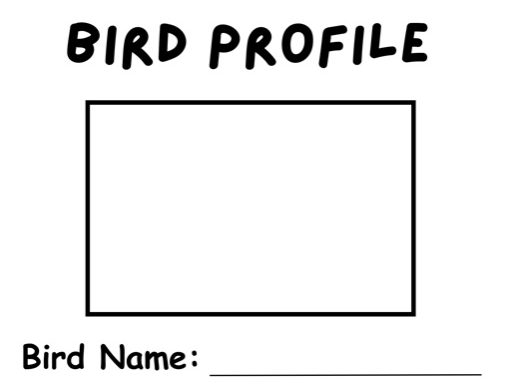 All About a Bird Profile