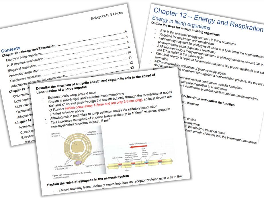 My A2 Biology Notes || 118 Pages