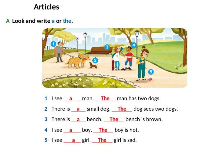 Kids Grammar Assessment & Practice Test | Grades 2–4 | Editable with Answer Key
