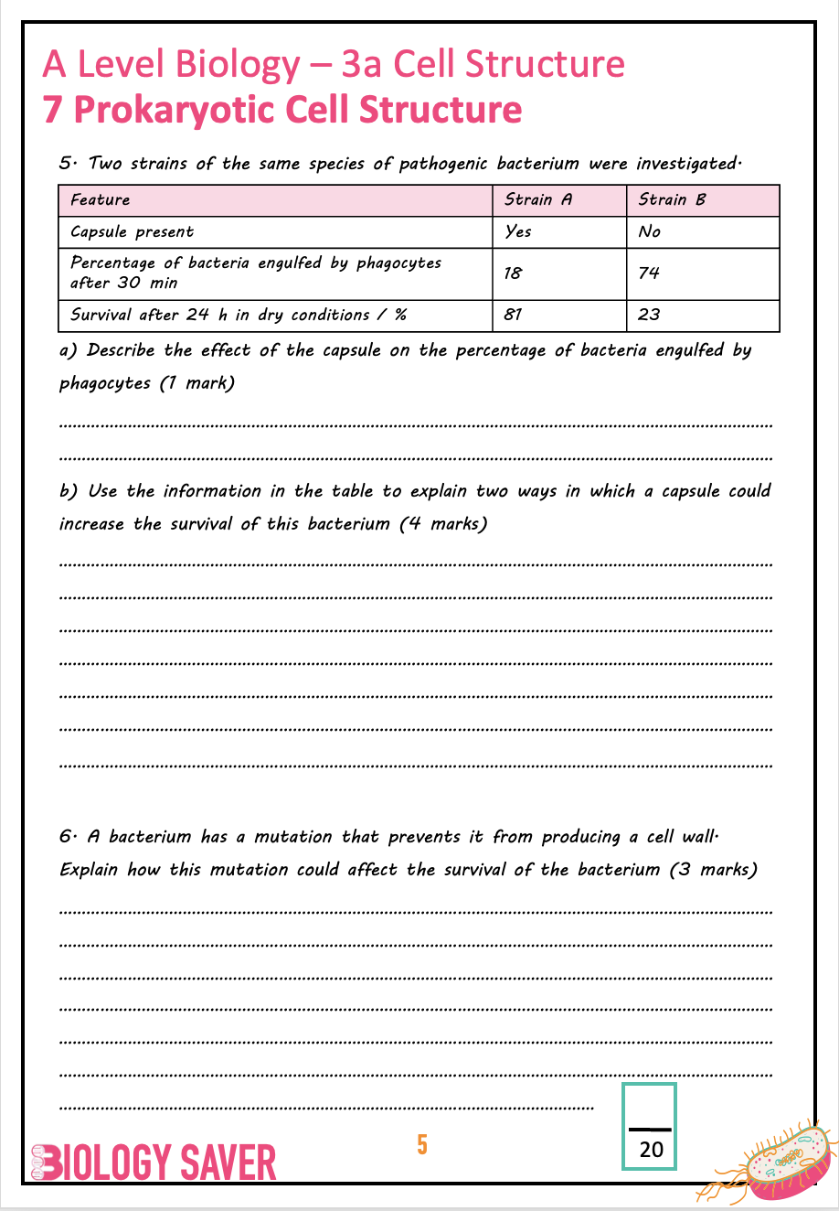 pdf, 424.55 KB