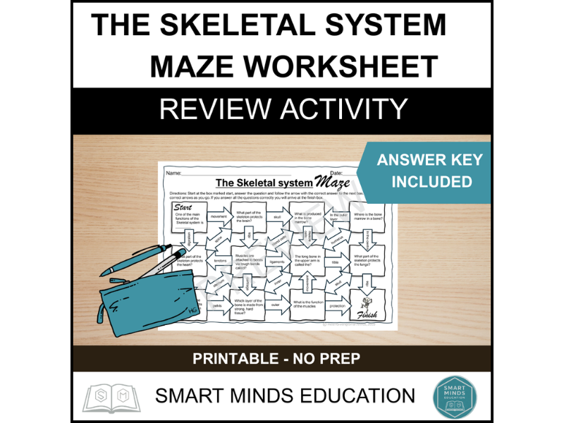 THE SKELETAL SYSTEM MAZE ACTIVITY WORKSHEET | HUMAN BODY SYSTEMS