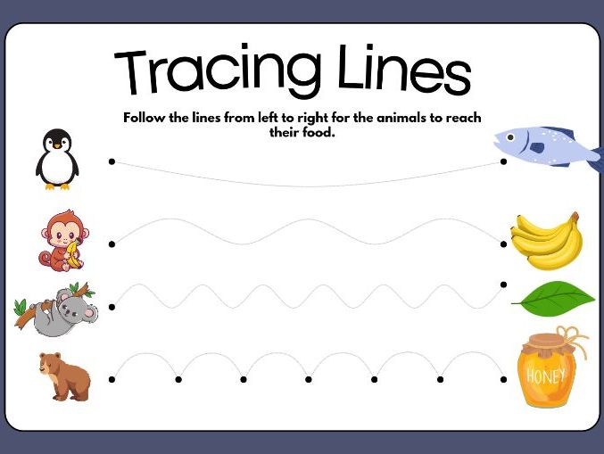 Animal Food Tracing Adventure