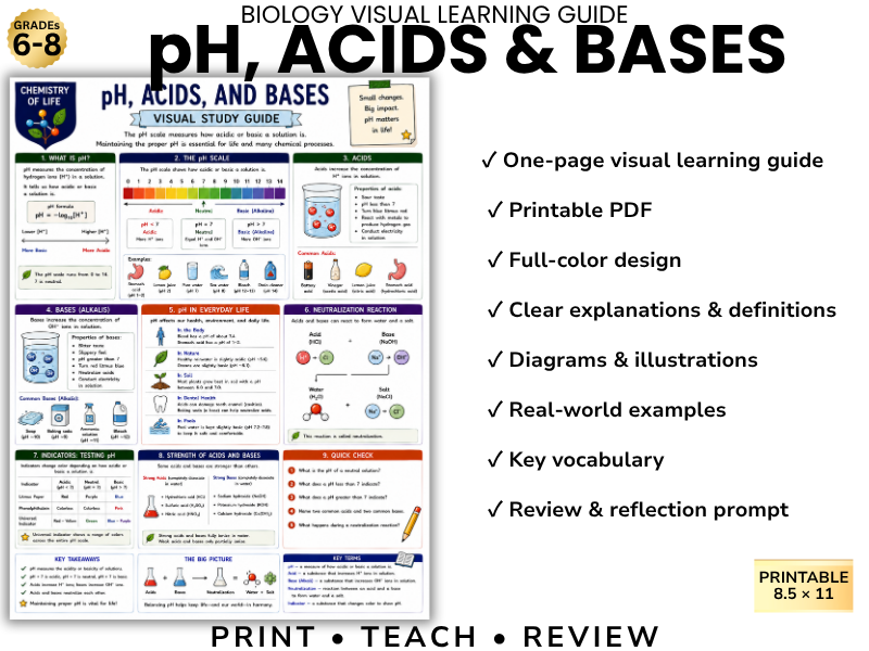 pH, ACIDS & BASES Biology Visual Learning Guide | Grade 8 & Middle School Science